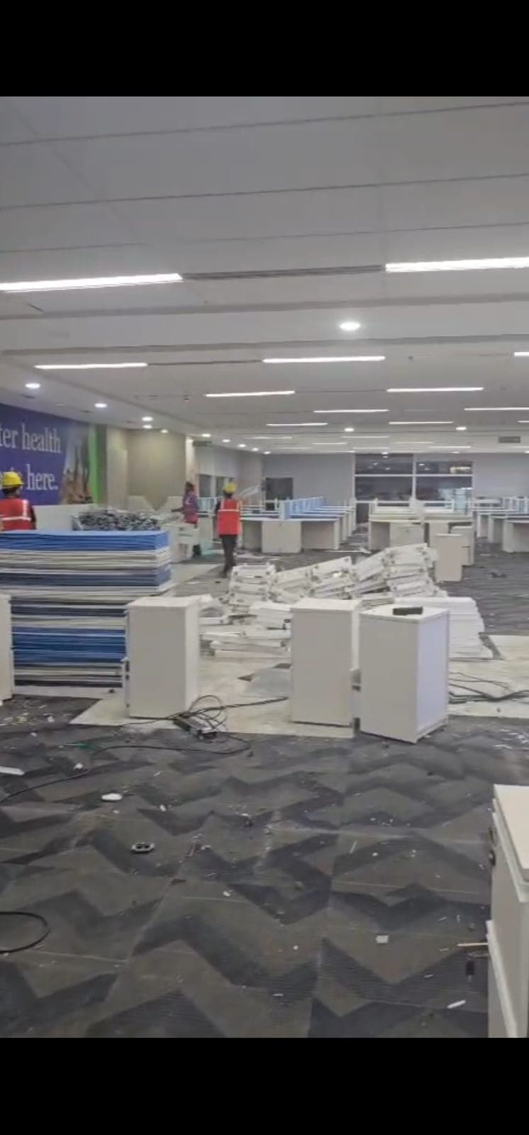 Professional Dismantling